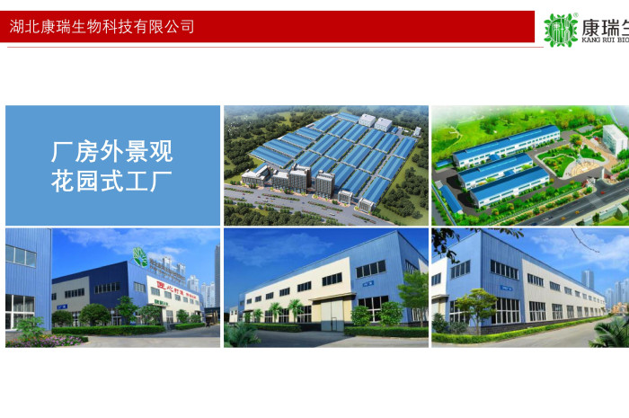 湖北膏方贴牌加工厂家电话号码